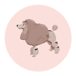 Download Poodle Svg Files Svgdesigns Com