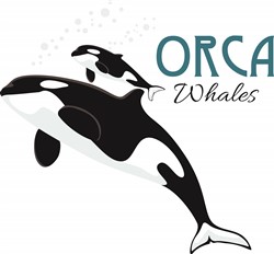 Download Orca Svg Files Svgdesigns Com