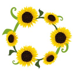 Free Free 61 Sunflower And Hummingbird Svg SVG PNG EPS DXF File