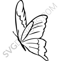 Butterfly Corner Svg File Bugs Svg Designs Svgdesigns Com