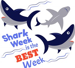 Shark Week Svg Files Svgdesigns Com