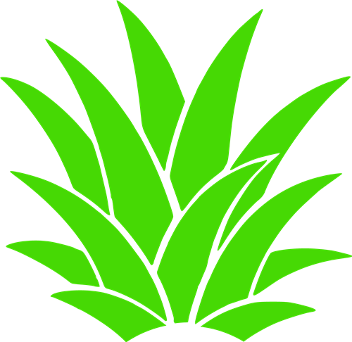 Download Pineapple Leaves Svg File Svg Designs Svgdesigns Com